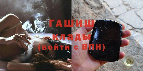 индика Саяногорск