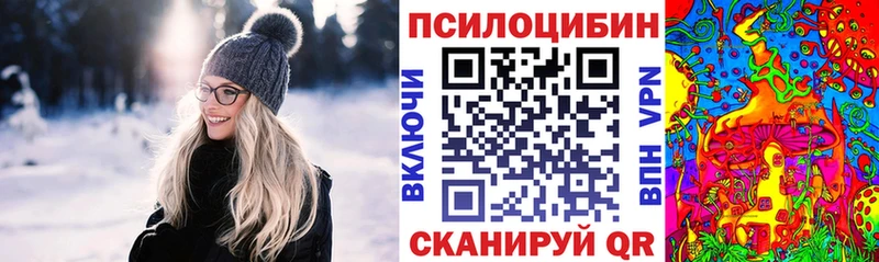 как найти   Абакан  МЕГА зеркало  Псилоцибиновые грибы прущие грибы 
