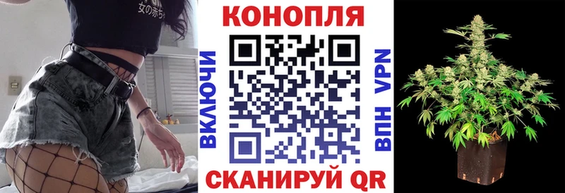 Шишки марихуана сатива наркошоп Абакан